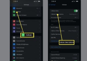 আইফোন 13 এ স্মার্ট ডেটা মোড কীভাবে ব্যবহার করবেন