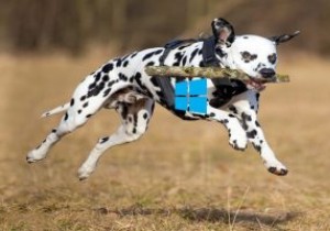 উইন্ডোজ সুপারফেচ কী এবং আপনি কীভাবে এটি অক্ষম করতে পারেন