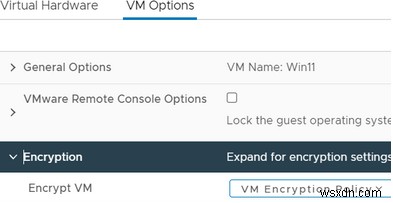 কিভাবে একটি VMware ভার্চুয়াল মেশিনে উইন্ডোজ 11 ইনস্টল করবেন? 