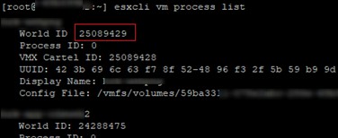 ভিএমওয়্যার ESXi:কীভাবে একটি প্রতিক্রিয়াহীন (আটকে) ভার্চুয়াল মেশিনকে হত্যা করা যায় 