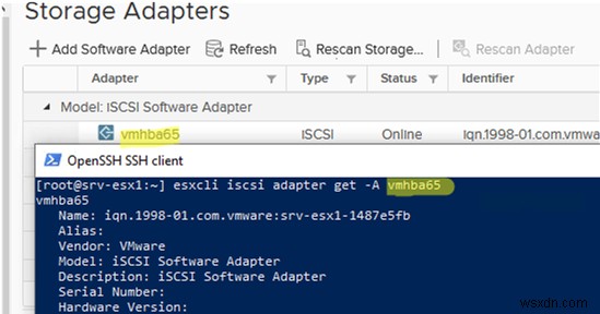 VMware ESXi-এ iSCSI ডেটাস্টোর (LUN) কনফিগার করা হচ্ছে 