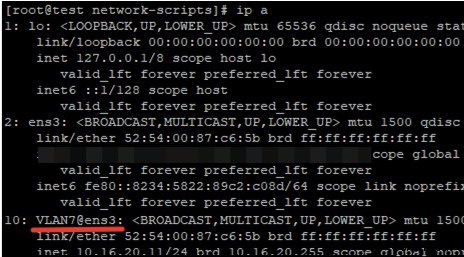 CentOS/Fedora/RHEL-এ VLAN ইন্টারফেস যোগ করা হচ্ছে 