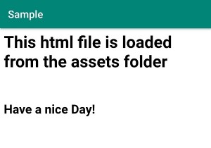 কীভাবে অ্যাসেট ডিরেক্টরি থেকে অ্যান্ড্রয়েডের ওয়েবভিউতে ফাইলগুলি লোড করবেন? 