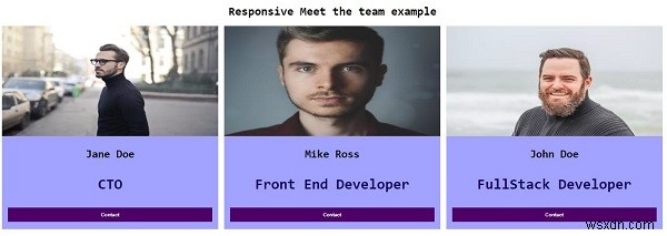 কিভাবে CSS দিয়ে প্রতিক্রিয়াশীল মিট দ্য টিম পেজ তৈরি করবেন? 