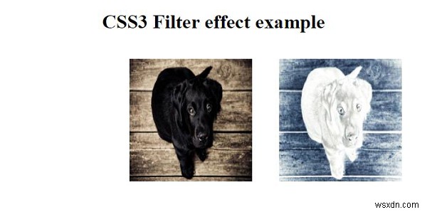 CSS3 ফিল্টার ইফেক্ট নিয়ে কাজ করা 