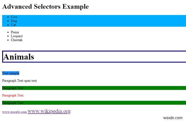 CSS এ উন্নত নির্বাচক 