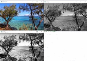 সি++ ব্যবহার করে ওপেনসিভিতে হিস্টোগ্রাম ইকুয়ালাইজার কীভাবে প্রয়োগ করবেন? 