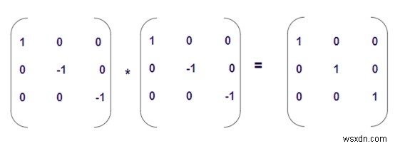 C++ এ ইনভোলুটরি ম্যাট্রিক্স চেক করার প্রোগ্রাম 