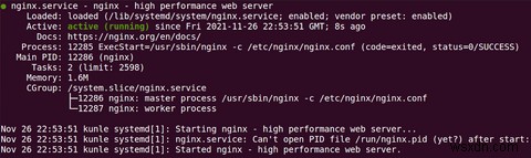 উবুন্টুতে Nginx কীভাবে ইনস্টল এবং কনফিগার করবেন 