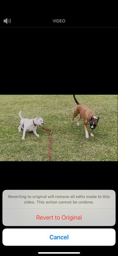 কিভাবে আপনার iPhone এ Slo-Mo ভিডিও রেকর্ড ও সম্পাদনা করবেন