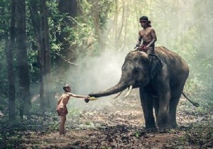 কীভাবে জাভা ওপেনসিভি লাইব্রেরি ব্যবহার করে একটি ছবিতে শব্দ যোগ করবেন? 