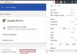 অপরিহার্য Google Chrome FAQ 