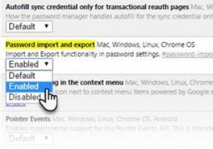 কিভাবে Chrome এ আপনার পাসওয়ার্ড আমদানি ও রপ্তানি করবেন 
