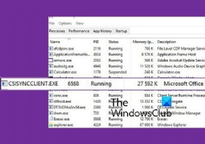 Windows 11/10-এ CSISYNCCLIENT.EXE প্রক্রিয়া কী? 