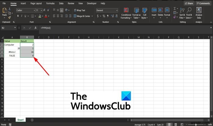 Microsoft Excel এ TYPE ফাংশন কিভাবে ব্যবহার করবেন