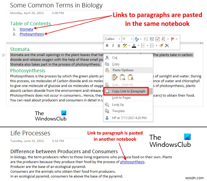 কীভাবে OneNote এ লিঙ্ক তৈরি করবেন