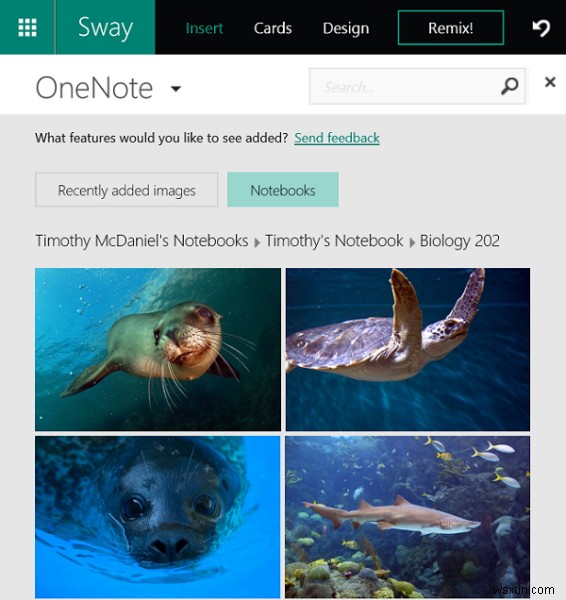 Office Sway-এ OneNote ইমেজ এবং ওয়েব এম্বেড কীভাবে যোগ করবেন 