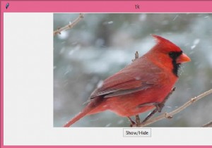 কিভাবে Tkinter এ ক্যানভাস আইটেম লুকান এবং দেখাবেন? 
