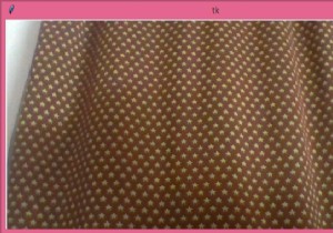 কিভাবে TkInter উইন্ডোতে ওয়েবক্যাম দেখাবেন? 