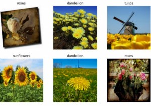 মডেলের প্রশিক্ষণ চালিয়ে যাওয়ার জন্য কীভাবে টেনসরফ্লো ফুল ডেটাসেটের সাথে ব্যবহার করা যেতে পারে? 