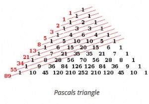 পাইথনে Phyllotaxis প্যাটার্ন? 