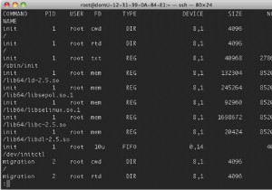 লিনাক্সে খোলা ফাইল, সকেট এবং পাইপগুলির একটি তালিকা কীভাবে পাবেন