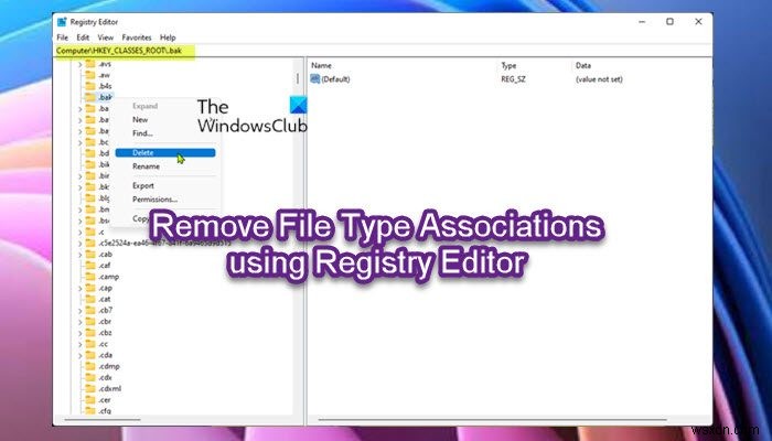 উইন্ডোজ 11/10 এ রেজিস্ট্রি এডিটর ব্যবহার করে ফাইল টাইপ অ্যাসোসিয়েশনগুলি কীভাবে সরিয়ে ফেলা যায় 