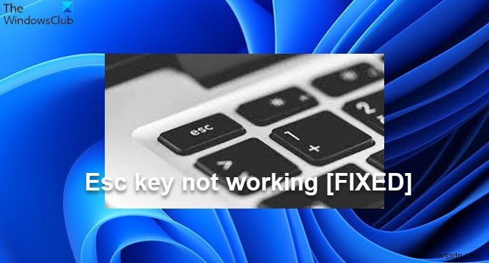 Esc কী Windows 11/10 এ কাজ করছে না 