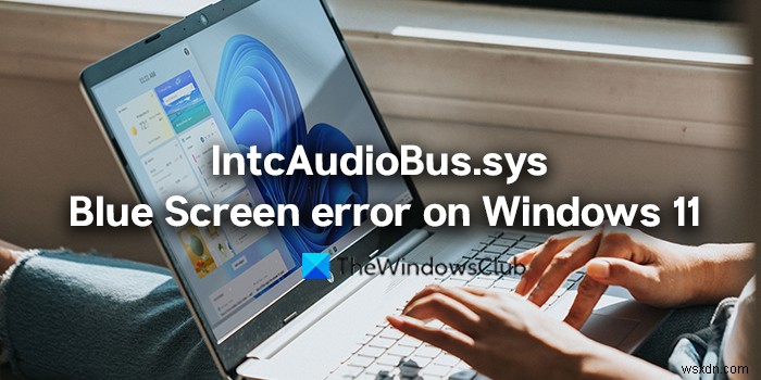 Windows 11-এ IntcAudioBus.sys ব্লু স্ক্রীন ত্রুটি ঠিক করুন 