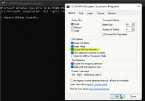 উইন্ডোজ 11/10-এ কমান্ড প্রম্পটে CTRL+C এবং CTRL+V কীভাবে সক্ষম করবেন 
