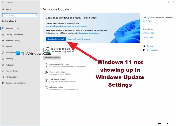 উইন্ডোজ 11 উইন্ডোজ আপডেট সেটিংসে প্রদর্শিত হচ্ছে না 