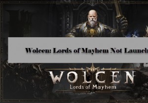 Wolcen Lords of Mayhem ক্র্যাশ বা উইন্ডোজ পিসিতে চালু হচ্ছে না 