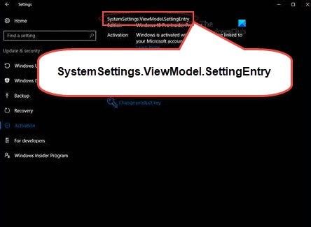 SystemSettings.ViewModel.SettingEntry বা NetworkUX.ViewModel.SettingEntry ত্রুটি ঠিক করুন 