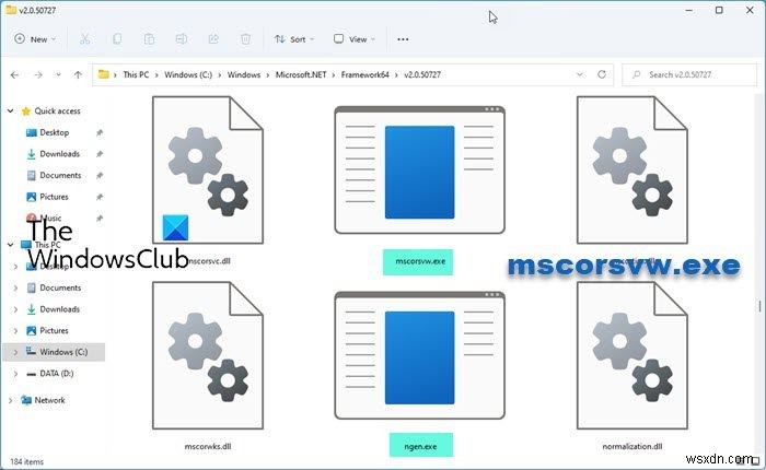 উইন্ডোজ 11/10 এ mscorsvw.exe কি? 