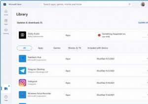 Microsoft Store Windows 11/10-এ প্রতিদিন একই অ্যাপ আপডেট করে 