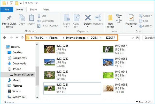[৬ উপায়] কিভাবে আইফোন থেকে পিসিতে ফটো ট্রান্সফার করবেন Windows 7 