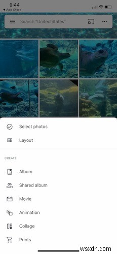 Google Photos-এর জন্য নতুনদের গাইড 