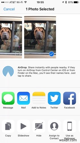 এই লুকানো রত্নগুলির সাথে iOS ফটো অ্যাপ আয়ত্ত করুন 