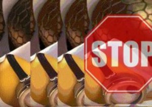 আপনার ব্রাউজারে স্বয়ংক্রিয়ভাবে চালানো থেকে GIF বন্ধ করুন 