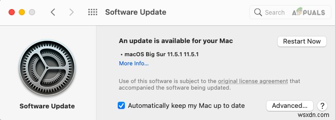 কেন প্রত্যেক ম্যাকের মালিককে macOS BigSur 11.5.1