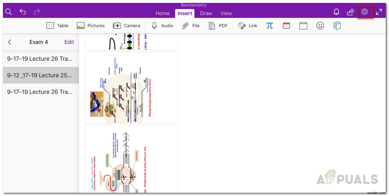 [ফিক্স] OneNote iPad-এ ক্রাশ হতে থাকে 