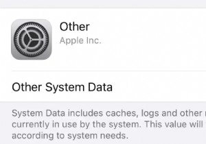 স্থির করুন:iPhone এ অন্যান্য স্টোরেজ
