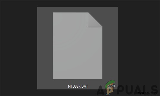 NTUSER.DAT ফাইল কী এবং আপনার কি এটি অপসারণ করা উচিত? 
