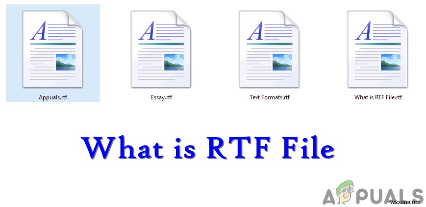 কি:RTF (.rtf) ফাইল এবং অন্যান্য টেক্সট ফরম্যাট থেকে এটি কীভাবে আলাদা? 