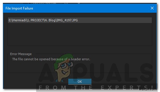 অ্যাডোব প্রিমিয়ারে  হেডার ত্রুটির কারণে ফাইলটি খোলা যাবে না  কীভাবে ঠিক করবেন 