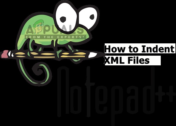 নোটপ্যাড++ এ কিভাবে XML ফাইল ফরম্যাট/ইন্ডেন্ট করবেন 