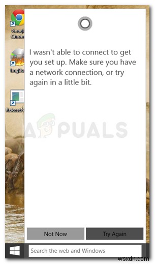 স্থির করুন:Cortana ইন্টারনেটের সাথে সংযুক্ত হচ্ছে না