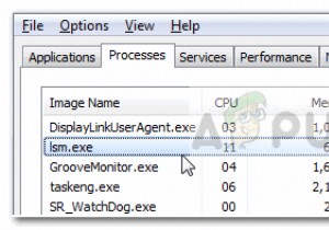 LSM.EXE কি 