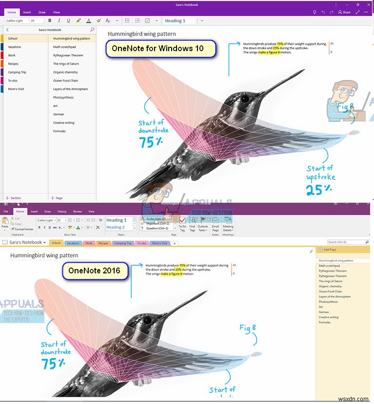 OneNote এর পরিবর্তে OneNote 2016 কিভাবে ইনস্টল করবেন 