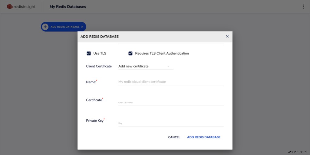 RedisInsight 1.6 RedisGears সমর্থন এবং Redis 6 ACL সামঞ্জস্য নিয়ে আসে 